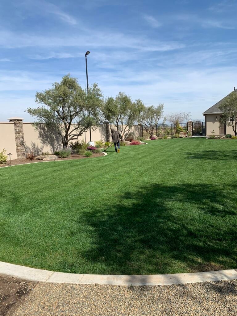 4505A25F-4B11-4289-8822-8FA3319AF92E - Roger Hernandez