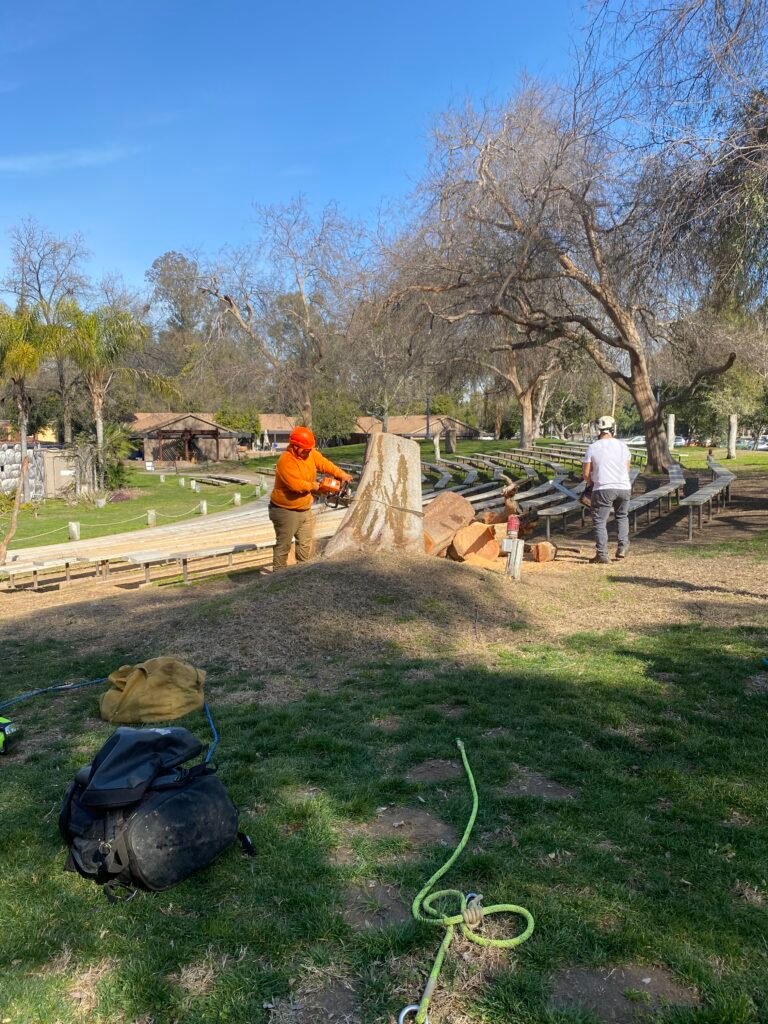 69697425472__CE7942FB-4BAE-4D07-A672-AAFB7556A917 - Roger Hernandez