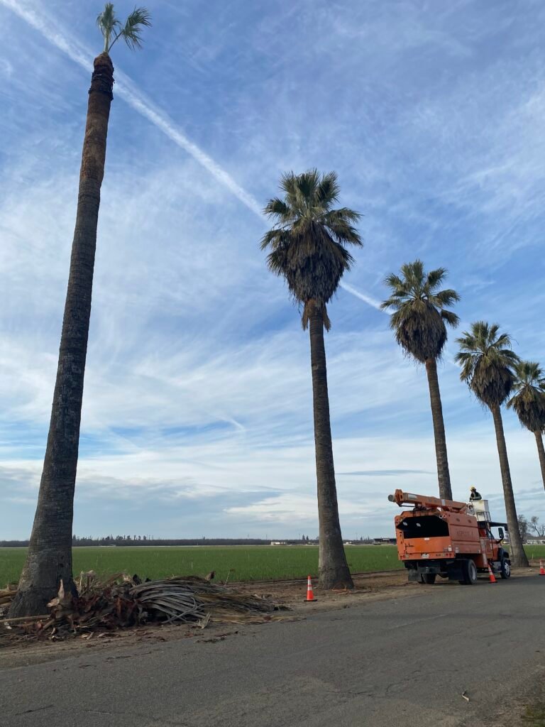 69724809935__13E020D7-B9DC-4897-A67B-78FAC1577B53 - Roger Hernandez