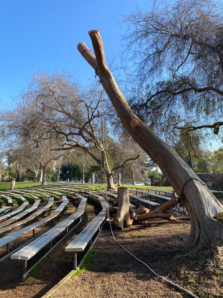 IMG_0552 - Roger Hernandez