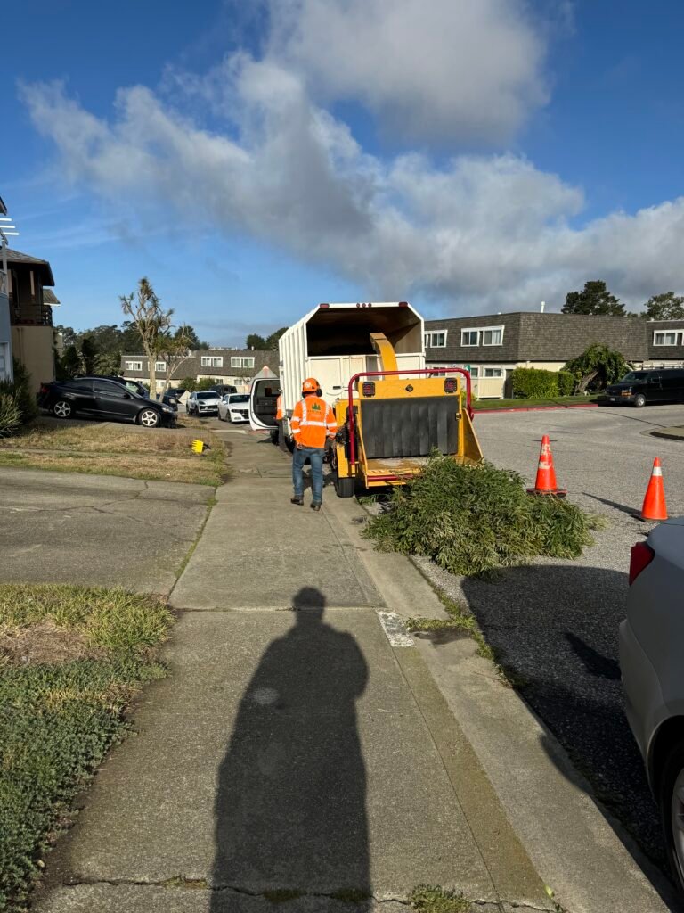 IMG_1533 - Roger Hernandez